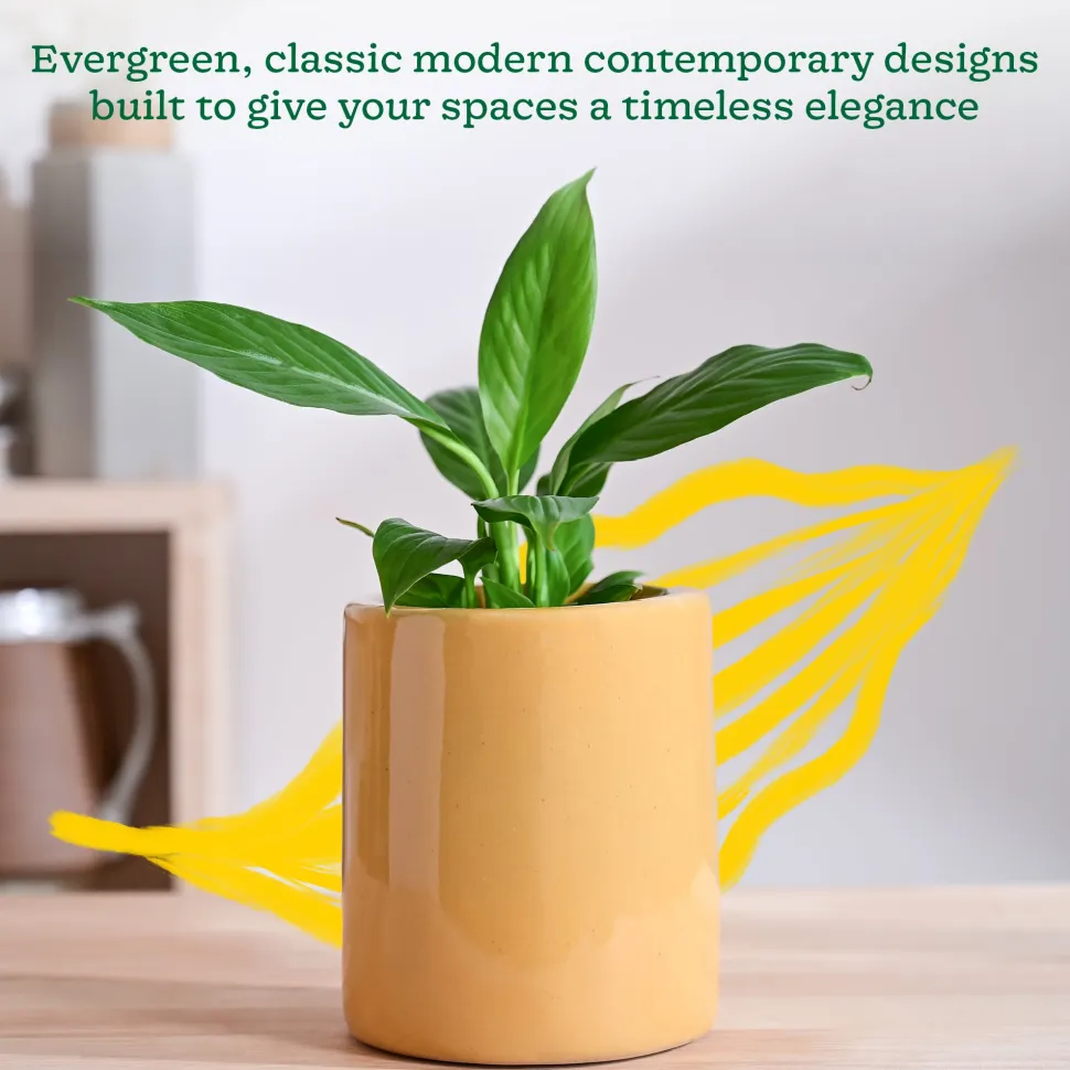 Lilac Stories Extra small Ceramic Planter