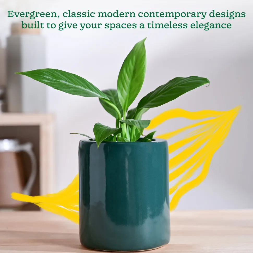 Lilac Stories Extra small Ceramic Planter