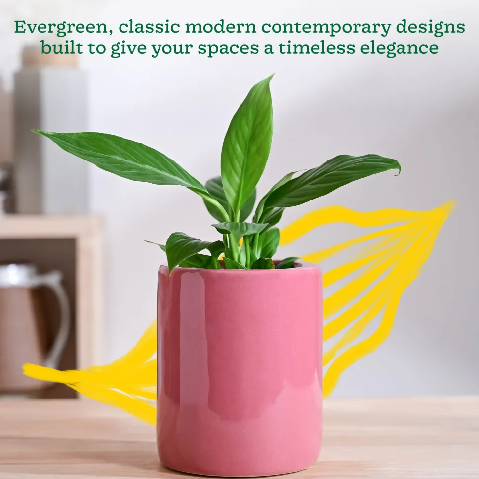 Lilac Stories Extra small Ceramic Planter