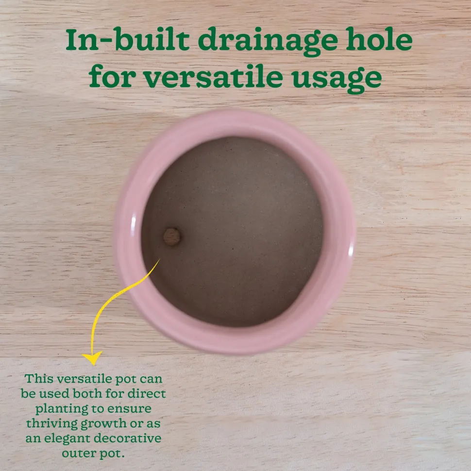 Lilac Stories Extra small Ceramic Planter