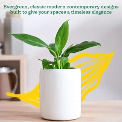 Lilac Stories Extra small Ceramic Planter