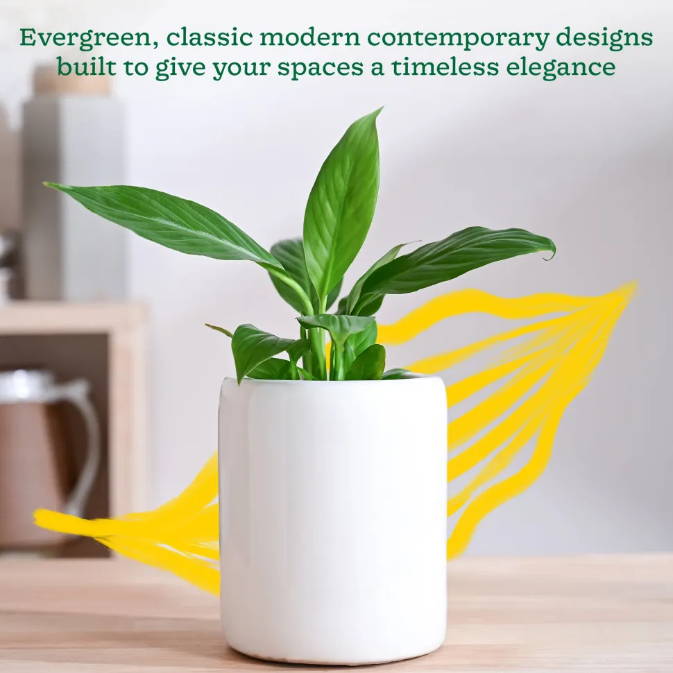 Lilac Stories Extra small Ceramic Planter
