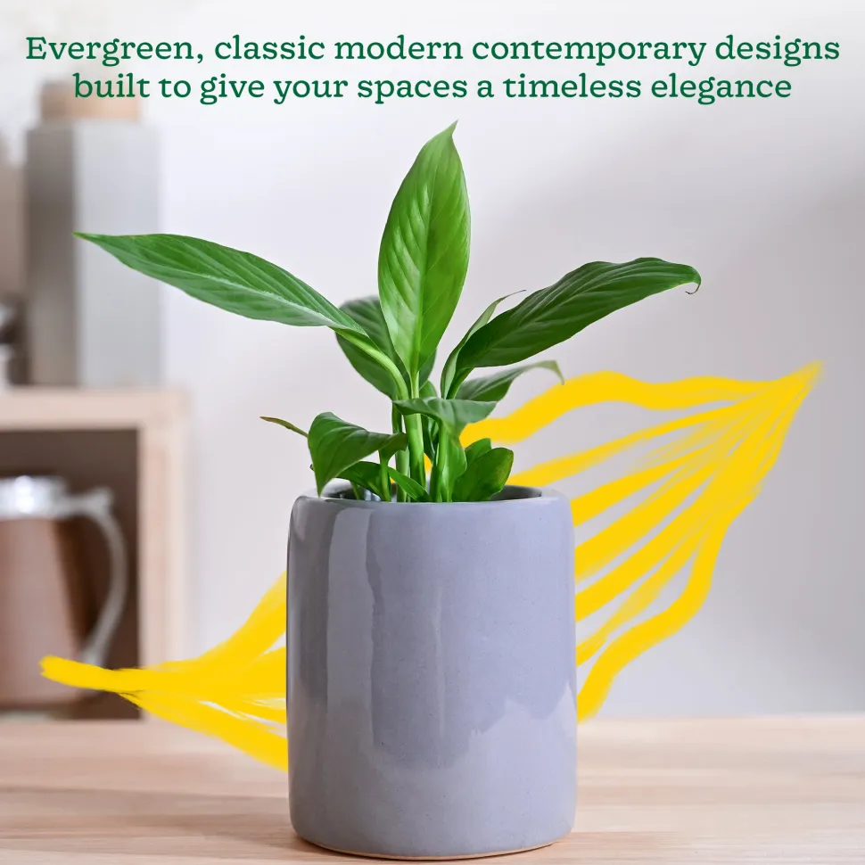 Lilac Stories Extra small Ceramic Planter