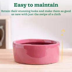 Lilac Stories Flat Ceramic Planter