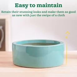 Lilac Stories Flat Ceramic Planter