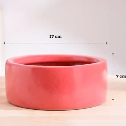 Lilac Stories Flat Ceramic Planter