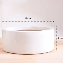Lilac Stories Flat Ceramic Planter