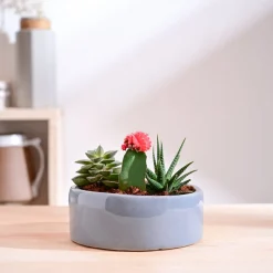 Lilac Stories Flat Ceramic Planter