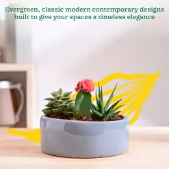 Lilac Stories Flat Ceramic Planter