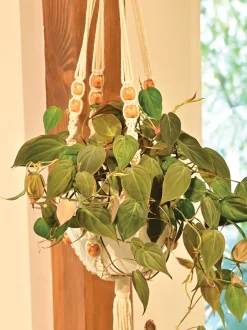 Macrame Single Layer Hanger