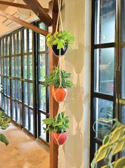 Macrame Three Layer Hanger