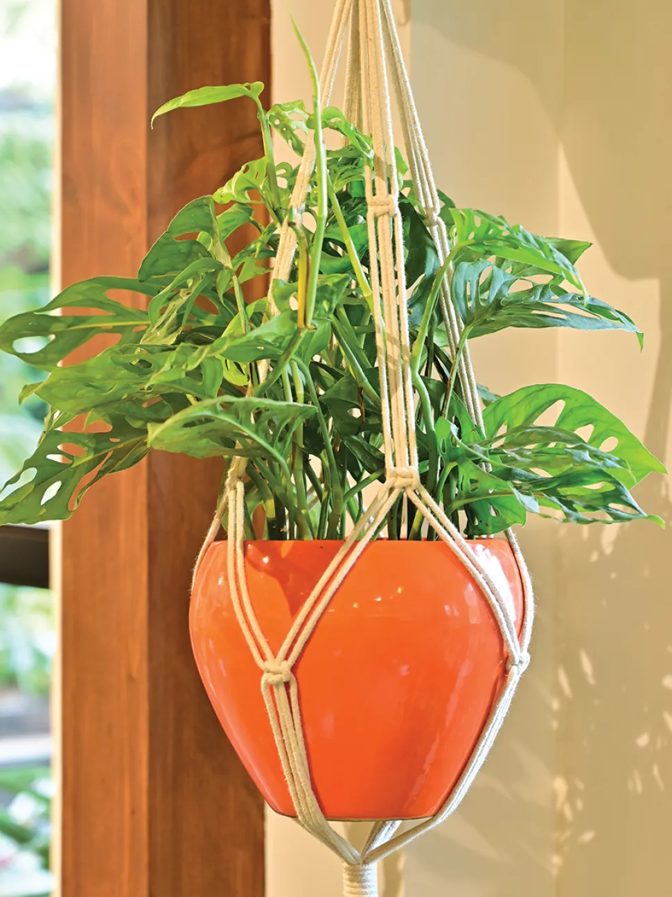 Macrame Three Layer Hanger