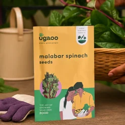 Malabar Spinach Seeds (Poi Saag)