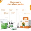 Marigold Grow Kit