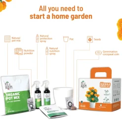 Marigold Grow Kit