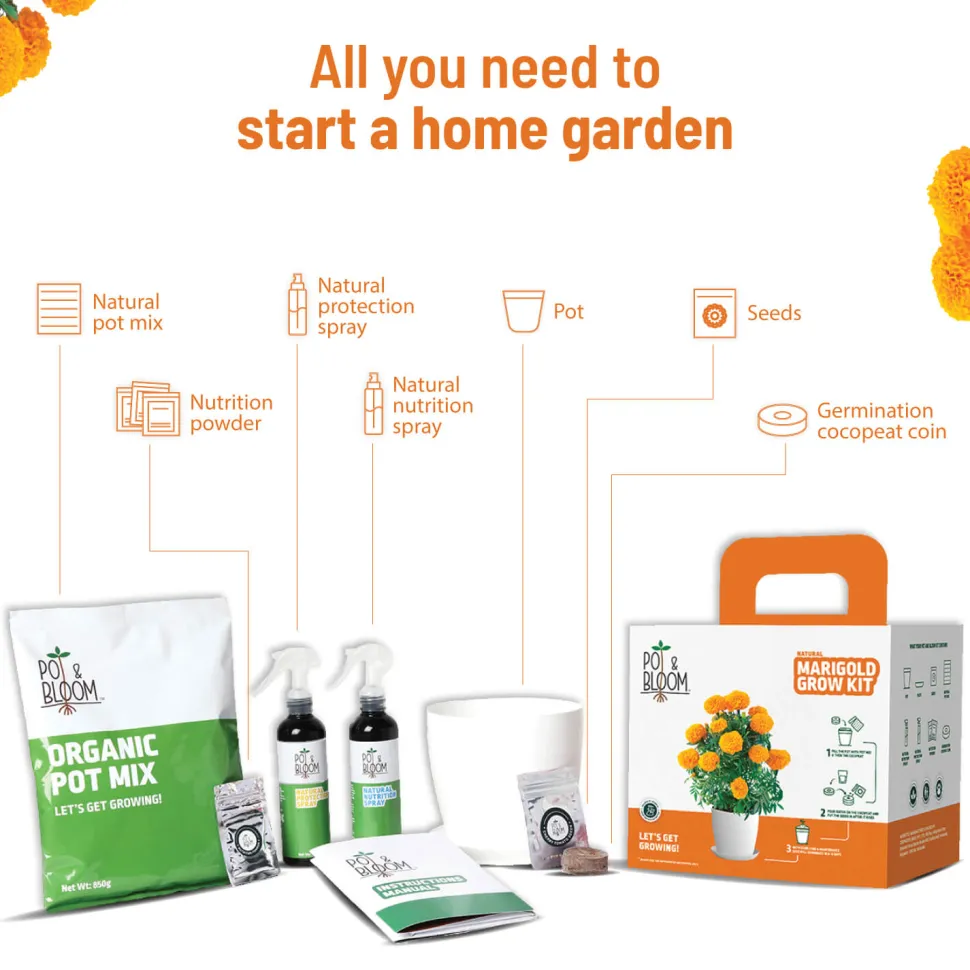 Marigold Grow Kit