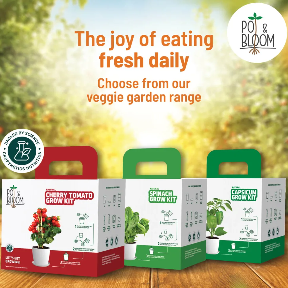 Marigold Grow Kit