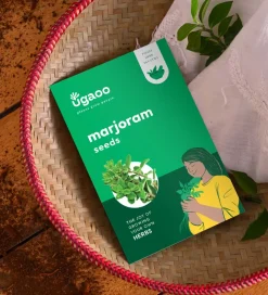 Marjoram Seeds