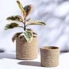 Meadow Planter - Set of 2