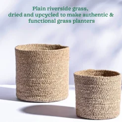 Meadow Planter - Set of 2