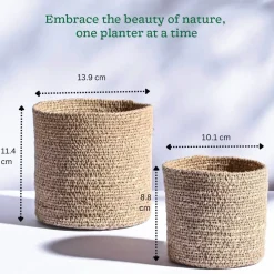 Meadow Planter - Set of 2
