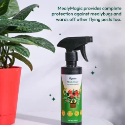 Mealybug Magic Spray for Plant Protection