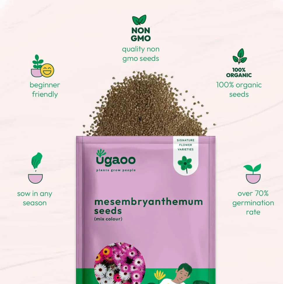 Mesembryanthemum Mix Seeds