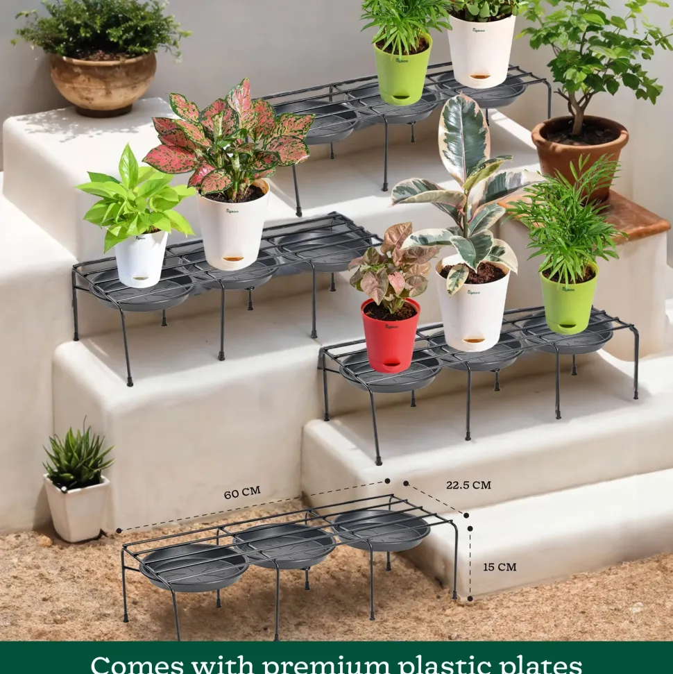 Metal Plant Stands with Drip-tray Holder - set of 4