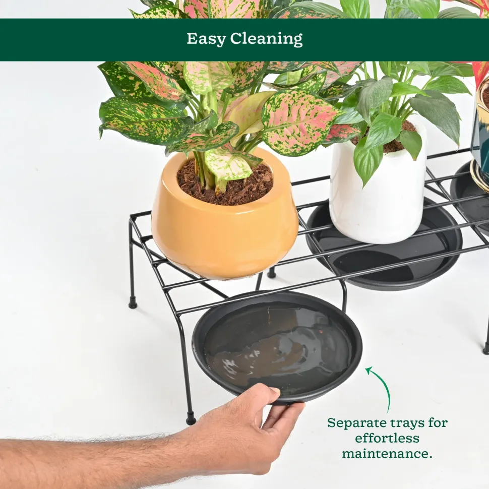 Metal Plant Stands with Drip-tray Holder - set of 4