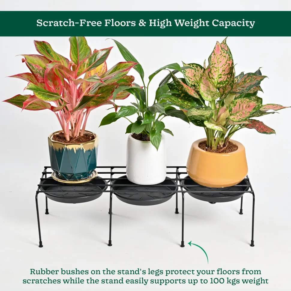 Metal Plant Stands with Drip-tray Holder - set of 4