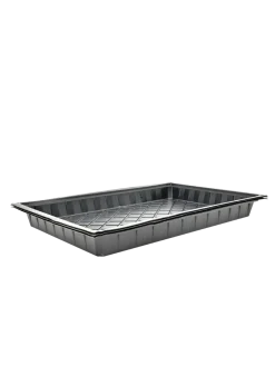 Microgreen Tray - Set of 3