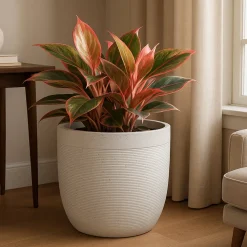 Milano Short Planter