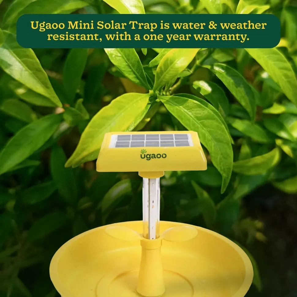 Mini Solar Light Insect Trap, Fly Killer Machine