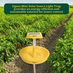 Mini Solar Light Insect Trap, Fly Killer Machine