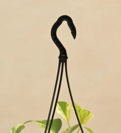 Money Plant Marble With Hanging Pot