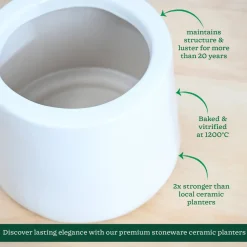 Monsoon Medley Ceramic Planter