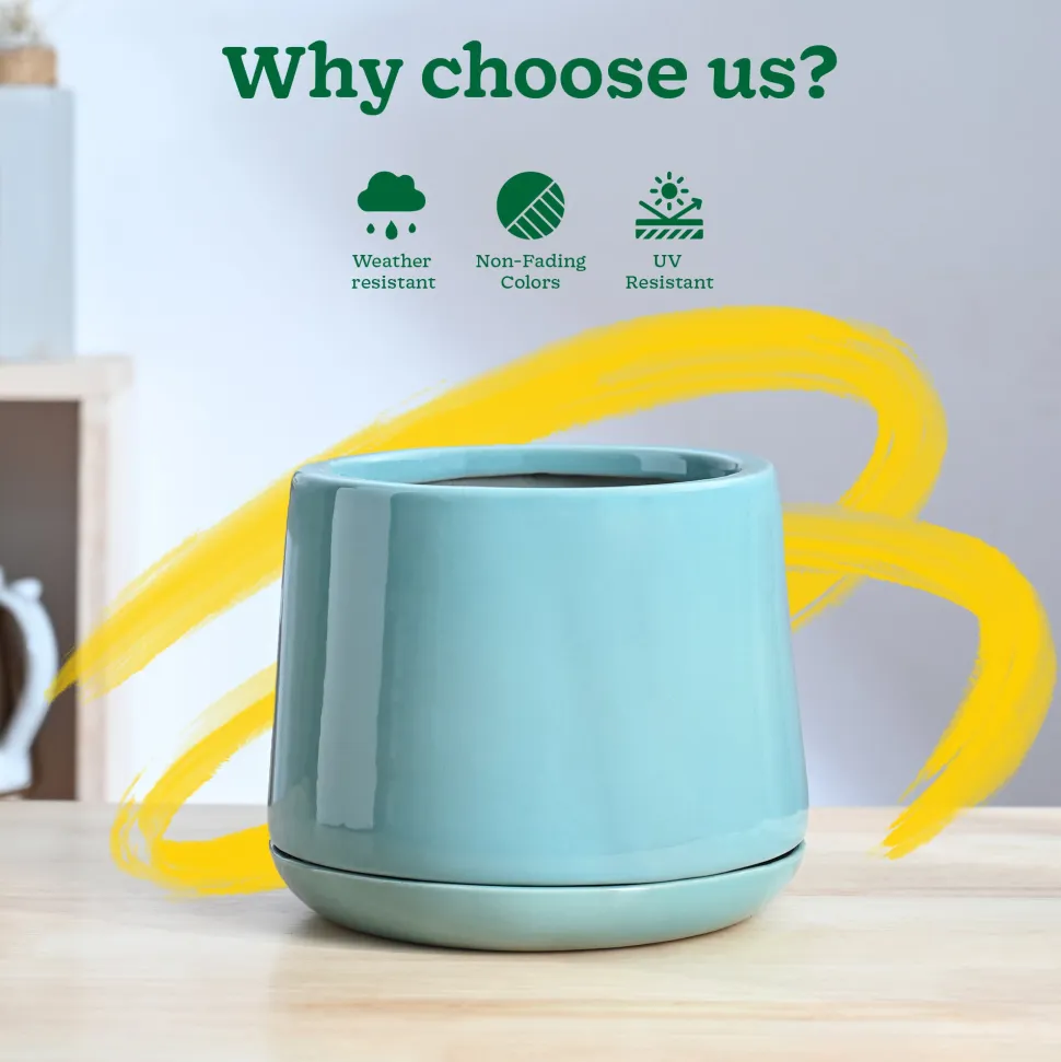 Monsoon Medley Ceramic Planter