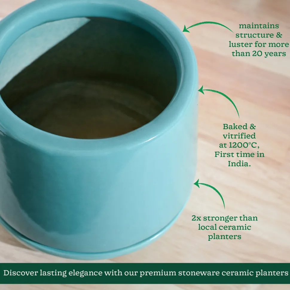 Monsoon Medley Ceramic Planter
