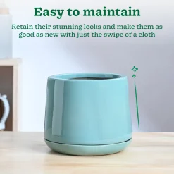 Monsoon Medley Ceramic Planter