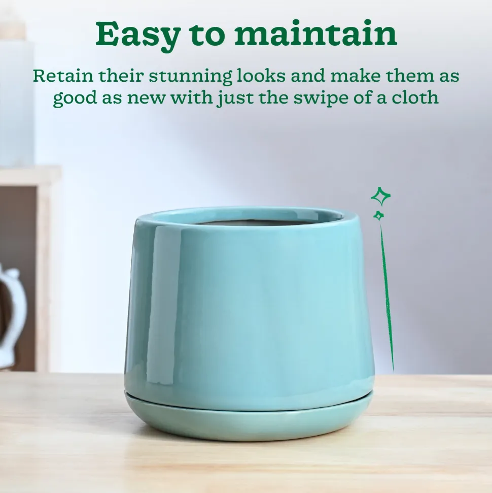 Monsoon Medley Ceramic Planter