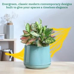 Monsoon Medley Ceramic Planter