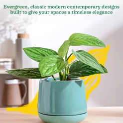 Monsoon Medley Ceramic Planter