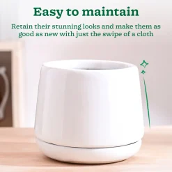 Monsoon Medley Ceramic Planter