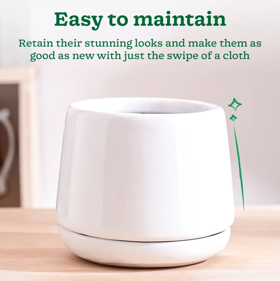 Monsoon Medley Ceramic Planter