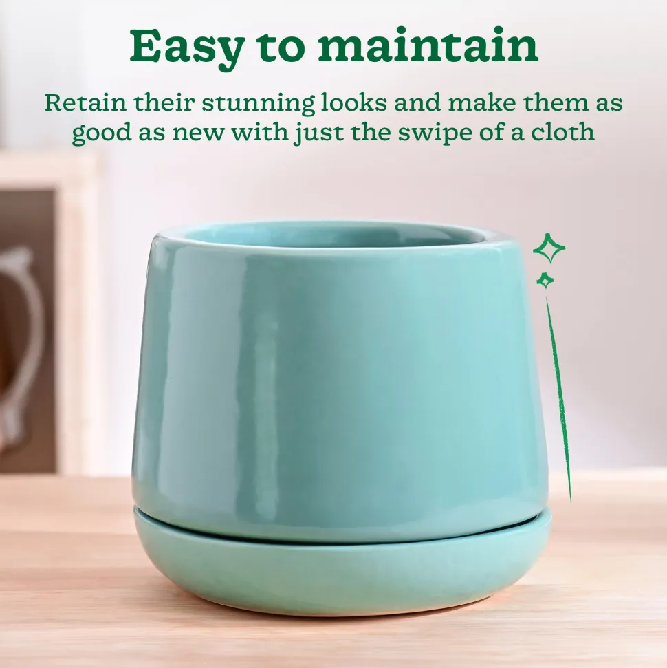 Monsoon Medley Ceramic Planter