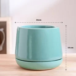 Monsoon Medley Ceramic Planter