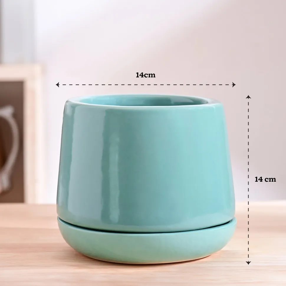 Monsoon Medley Ceramic Planter