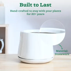 Monsoon Medley Ceramic Planter