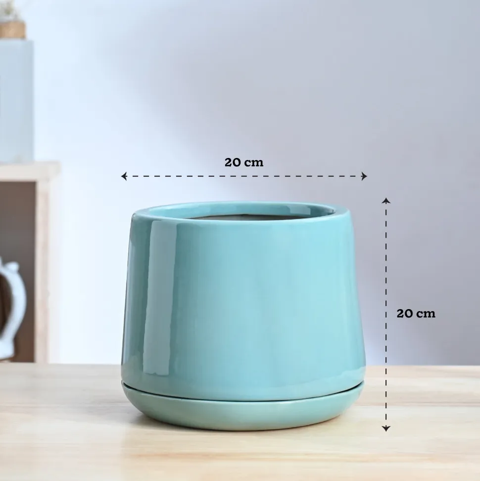 Monsoon Medley Ceramic Planter