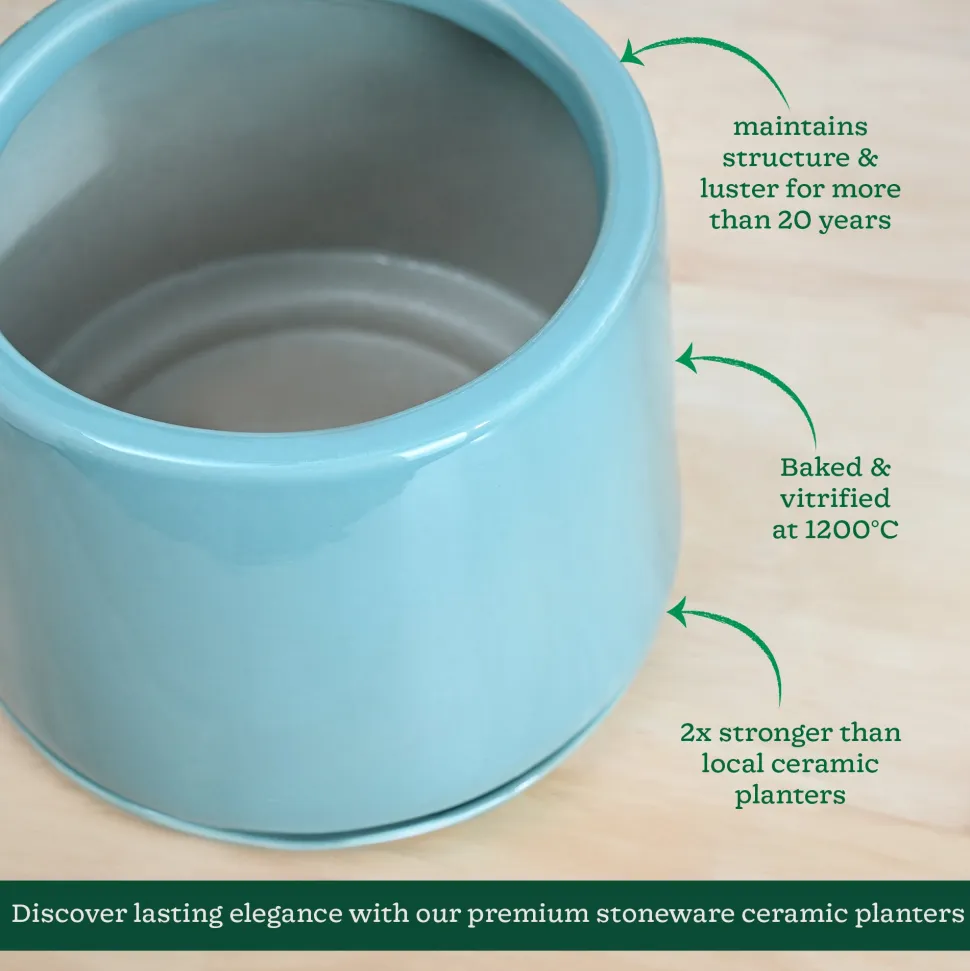 Monsoon Medley Ceramic Planter